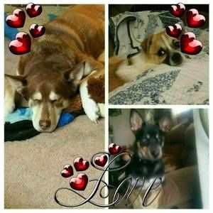 Meet your Posher, Karen